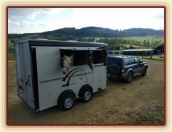 17.5.2017 - Koupili jsme nový přepravník na tři koně, takže na závody můžeme letos jezdit s více koňmi najednou :-)