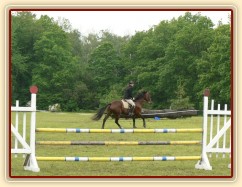 Parkur, před startem