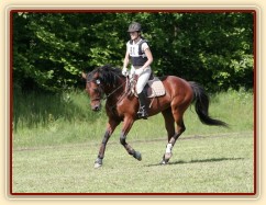 Příprava před startem crossu