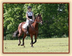 nájezd na překážku v crossu