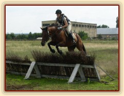 Skok přes proutěnku na opracovišti před crossem