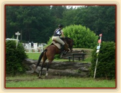 První překážka v crossu