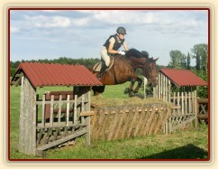 Trénink terénních skoků, skok přes krmítko