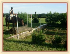 Trénink terénních skoků, Agáta pečlivě studuje místo doskoku, než se odhodlá skočit