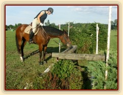 Trénink terénních skoků, Agáta a Adéla: "Není ten příkop nějak moc hlubokej?"