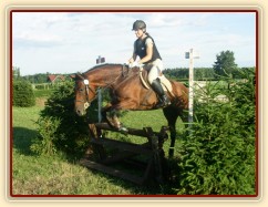 Trénink terénních skoků, skok přes kozu u jámy, kůň i jezdec se plně soustředí na jámu za skokem