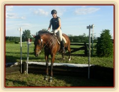 Trénink terénních skoků, seskok do jámy za kozou, pak následuje výskok z jámy