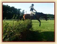 Trénink terénních skoků, skok přes proutěnku s příkopem za ní