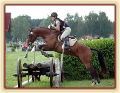 Terénní zkouška, skok přes vůz, dvojskok.