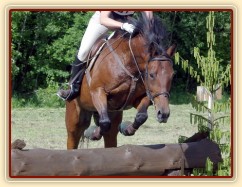 Crossová část, skok přes "štonty"