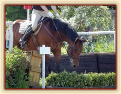 Crossová část, schody: rozfázovaný seskok přes proutěnku.