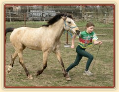 Parellistění ve volnosti