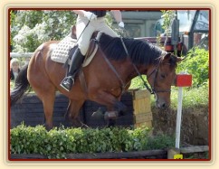 Crossová část, schody: rozfázovaný seskok přes proutěnku.