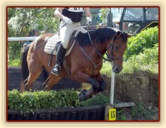 Crossová část, schody: rozfázovaný seskok přes proutěnku.