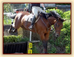 Crossová část, schody: rozfázovaný seskok přes proutěnku.