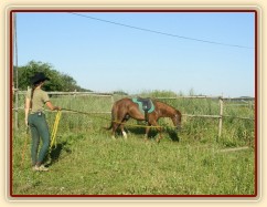 Janek na lonži se chambonem, kouká na kavalety, přes které bude překlusávat.