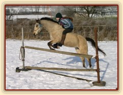 Skok bez sedla a řízení
