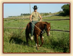 Janek poprvé jde pod jezdcem po týdnu práce ze země.