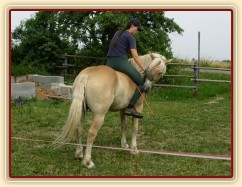 Vilibald ohybá hlavu.