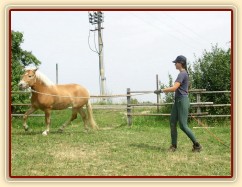Bela při práci ze země: kruhová hra.