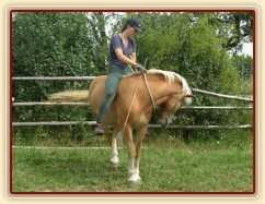 Bela ohybá hlavu a přitom ustupuje zádí.