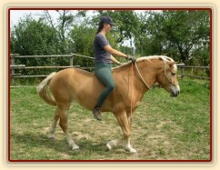 Bela jde s jezdcem po jízdárně.