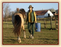 Ustupování ve volnosti