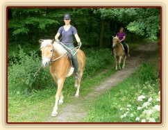 Bela na své druhé vyjížďce s jezdcem, Vilibald jí dělá doprovod.