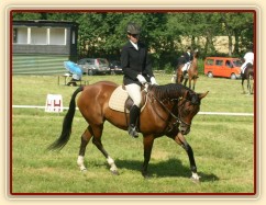 Drezurní zkouška: malý kruh