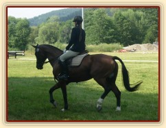 Drezurní zkouška: malý kruh