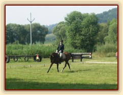 Drezurní zkouška: malý kruh