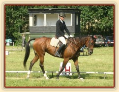 Drezurní zkouška: krok