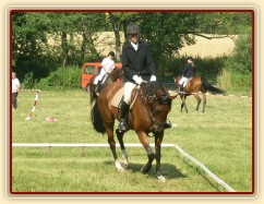 Drezurní zkouška: klus