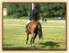 Drezurní zkouška: malý kruh