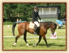 Drezurní zkouška: malý kruh