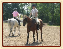 Opracovávání pčed parkurem