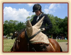 Poslední úpravy před parkurem