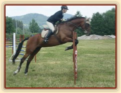 Parkur stupně Z poslední den všestrannosti