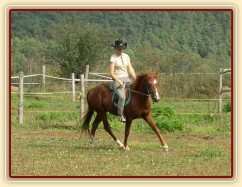 Klus na jízdárně - malý kruh