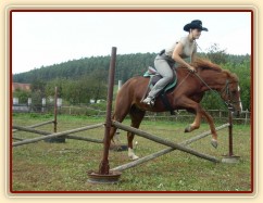 Skákání skokové řady - malý skok