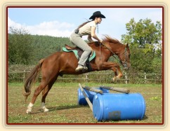 Skákání skokové řady - oxer. Už třetí skokovou hodinu skáče jako "profík" :-)