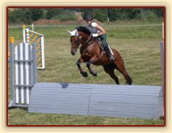 Závody v Korkyni, parkur