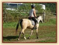 Tereza a Greisy: klus