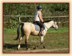 Tereza a Greisy: klus