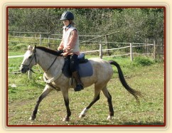 Tereza a Greisy: klus