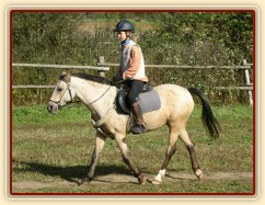 Tereza a Greisy: klus