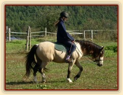 Radka a galen: uvolňování koně v klusu na dlouhé otěži