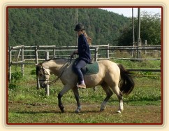 Radka a galen: uvolňování koně v klusu na dlouhé otěži