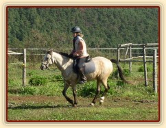 Tereza a Greisy: cval