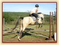 Tereza a Greisy: menší skoky už zvládají bez držení se sedla